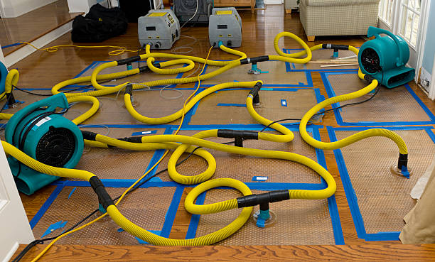 Professional Water Damage Repair technician working in Hubbard, OR